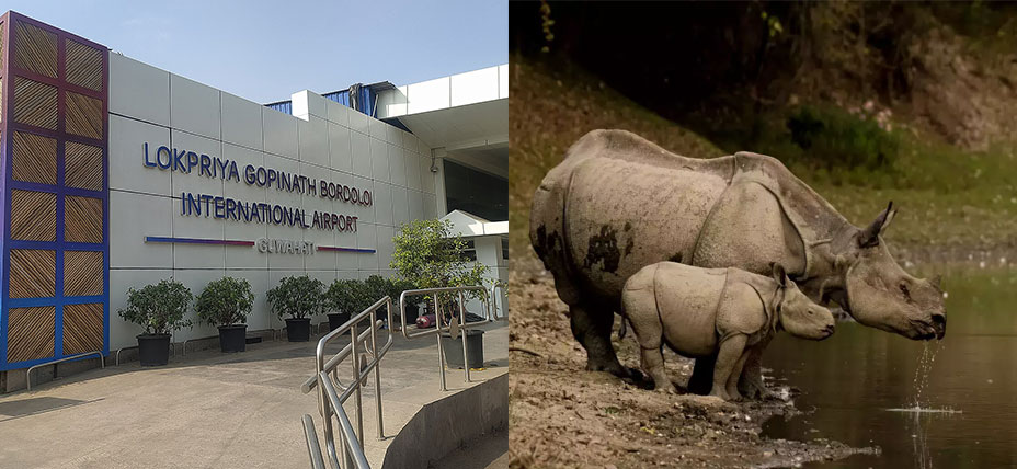 Guwahati - Kaziranga National Park